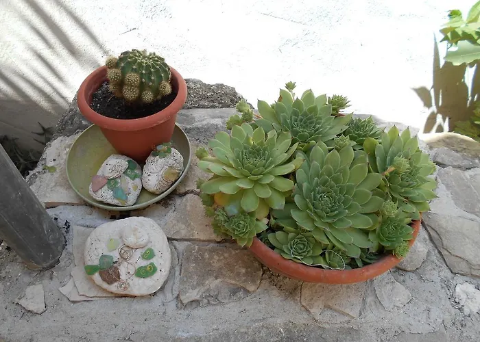 Apartment Ante * Split