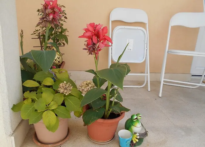 Apartment Ante Split