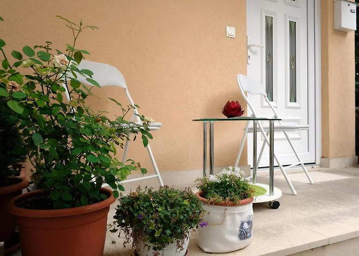 Apartment Ante Split