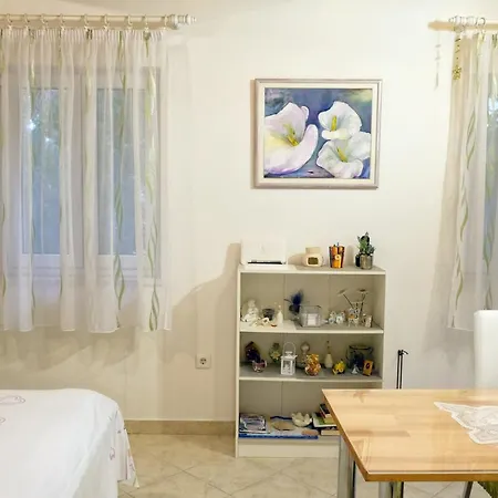 Apartment Ante Apartment